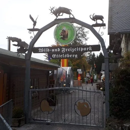 willingen-wildpark_1.jpeg