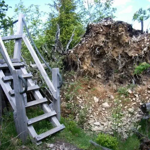 willingen_kyrillpfad_2.jpg
